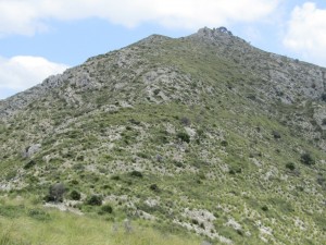 IMG_6620 (Medium)
